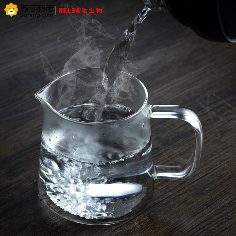 物生物(RELEA)几何壶水壶 耐热玻璃茶壶 过滤不锈钢泡茶壶花茶壶茶具套装