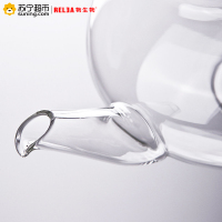 物生物(RELEA)耐热玻璃泡茶壶花茶壶750ML玻璃透明过滤茶具套装 森系灯笼壶