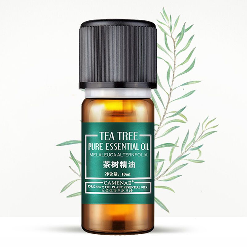 嘉媚乐澳洲茶树精油祛痘10ml