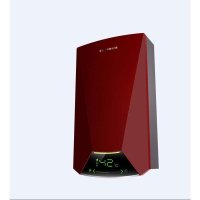 前锋燃气热水器JSQ32-T5(T)