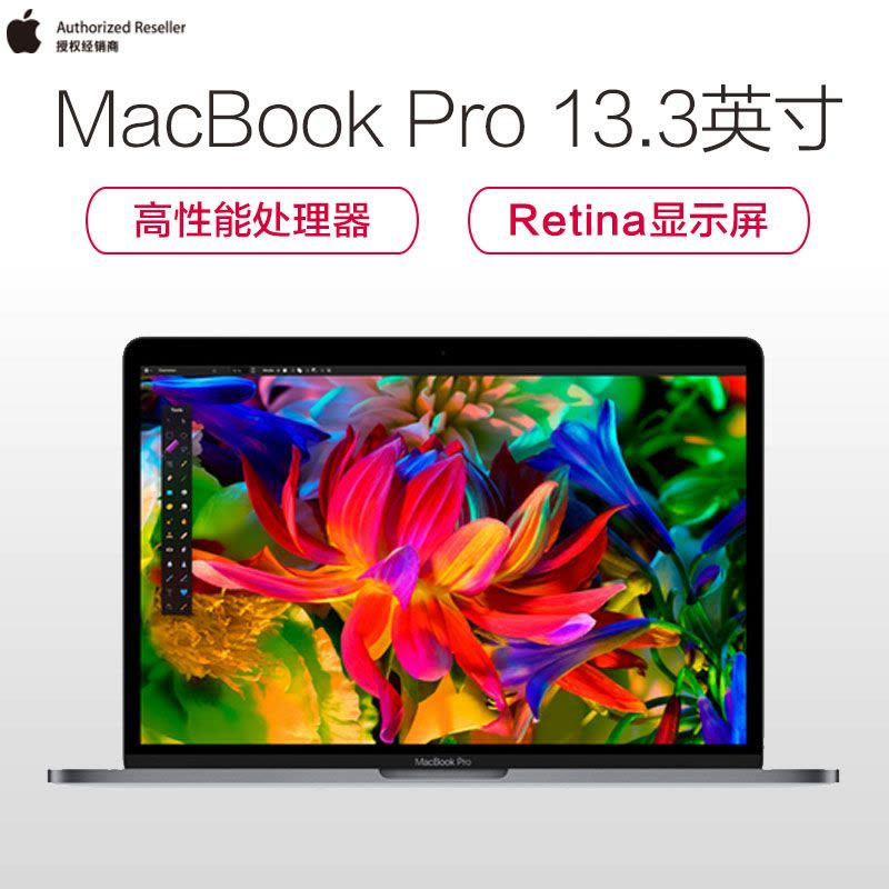 Apple MacBook Pro MLUQ2CH/A 13.3英寸笔记本电脑(Intel Core i5 处理器 2.0GHz 8G 256GB 银色 轻薄本图片
