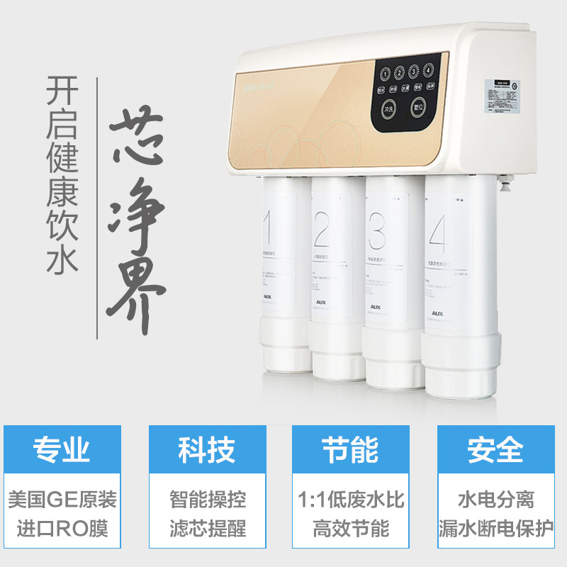 奥克斯（AUX）净水器 家用直饮 双出水反渗透纯水机AK03（智控版）