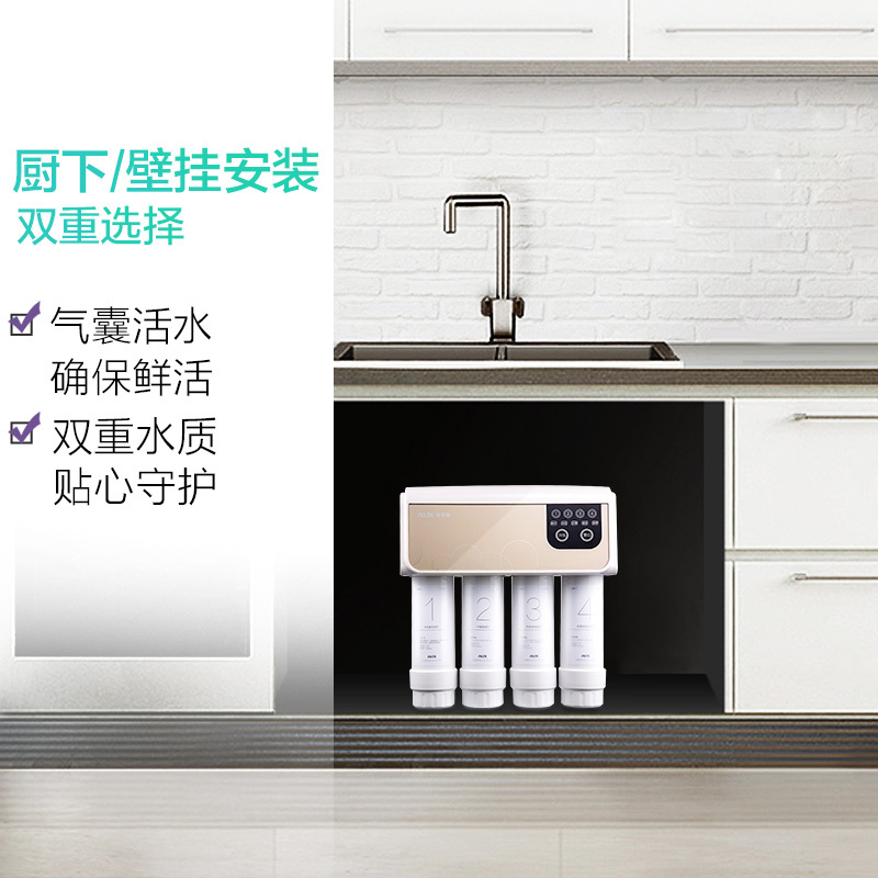 奥克斯（AUX）净水器 家用直饮 双出水反渗透纯水机AK03（智控版）
