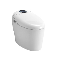 箭牌ARROW卫浴一体智能马桶无水箱即热型自动烘干妇洗坐便器AKB1131