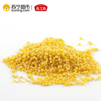 燕之坊 黄金苗黄小米 心意系列 小黄米 五谷杂粮 1kg 量贩装(真空包装)