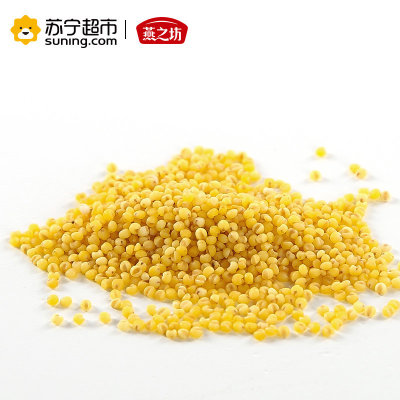 燕之坊 黄金苗黄小米 心意系列 小黄米 五谷杂粮 1kg 量贩装(真空包装)
