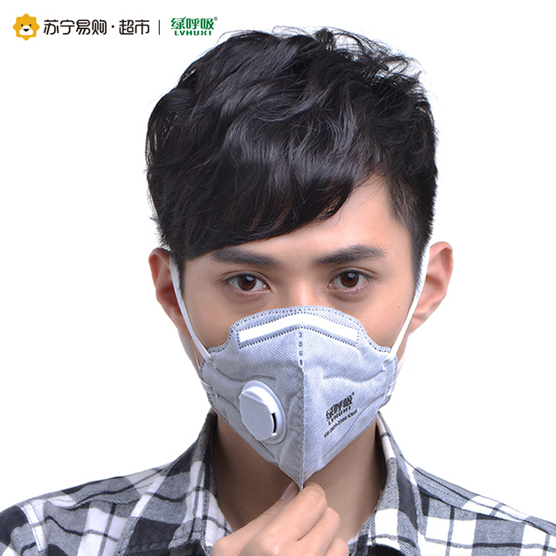[苏宁易购超市]绿之源 绿呼吸 N95折叠型防护口罩带呼吸阀 灰色10只装