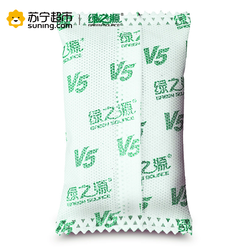 绿之源V5经济装车家两用活性炭3000g
