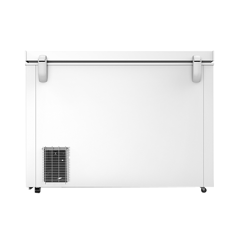 容声冷柜BD/BC-310MSY/HP