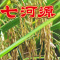 七河源长粒粳米10KG