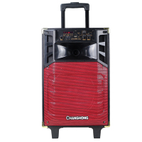 长虹 CHANGHONG 音箱 音响 户外音响 广场舞拉杆音箱 舞台会议演出音响 电瓶音箱 蓝牙遥控插卡音箱 101