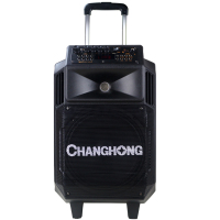 长虹 CHANGHONG 音箱 音响 户外音响 广场舞拉杆音箱 舞台会议演出音响 电瓶音箱 蓝牙遥控插卡音箱 1012