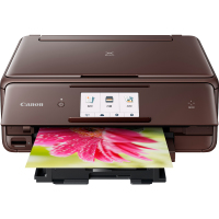 佳能（Canon）TS8080 高品质照片一体机 精致版 棕色