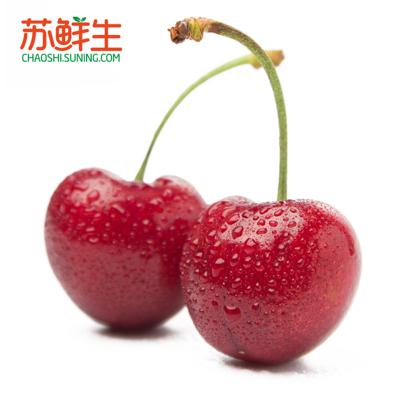 [苏鲜生]智利车厘子红樱桃500g