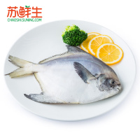 [苏鲜生]东海鲳鱼(1条装)250g以上