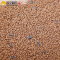 爱丽思(IRIS) PLWF80 宠物环保轻型膨润土猫砂木砂迅速结块型猫砂强吸水性
