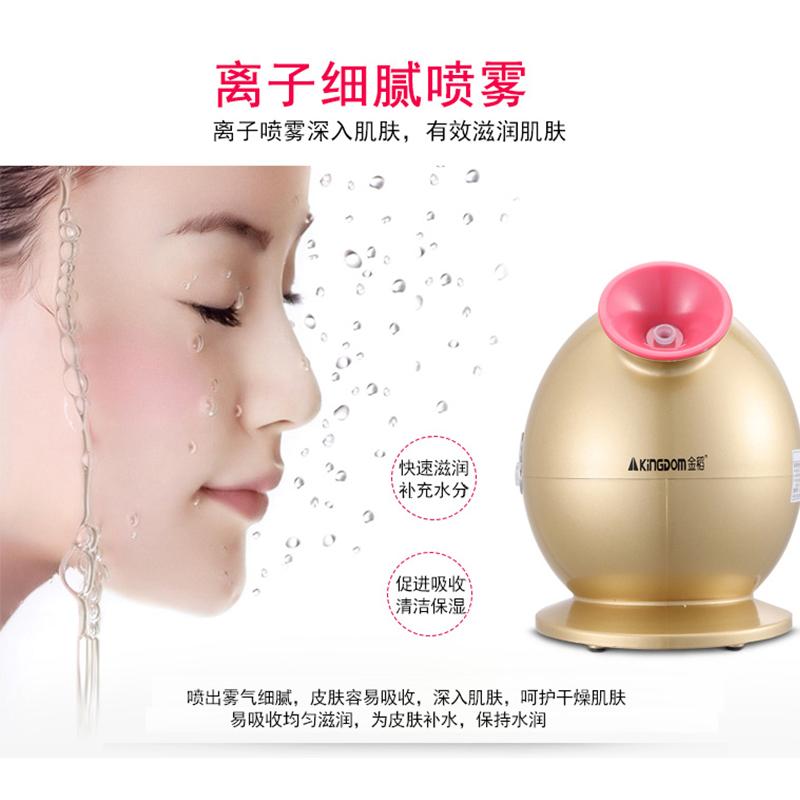 金稻(kingdom)热喷蒸脸器 KD233A 家用美容 纳米离子保湿补水仪 脸部加湿器 喷雾机 蒸脸机