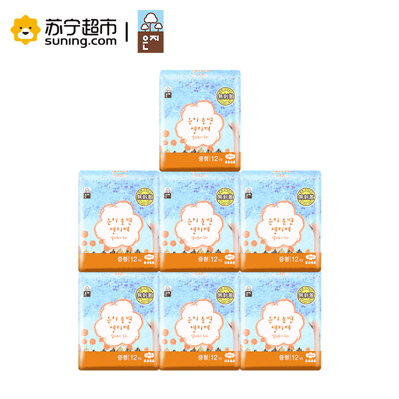 恩芝(eunjee)无刺激 超薄绵柔表层 干爽舒适 轻盈无感日用姨妈巾护翼卫生巾24cm 12片韩国原装进口卫生巾