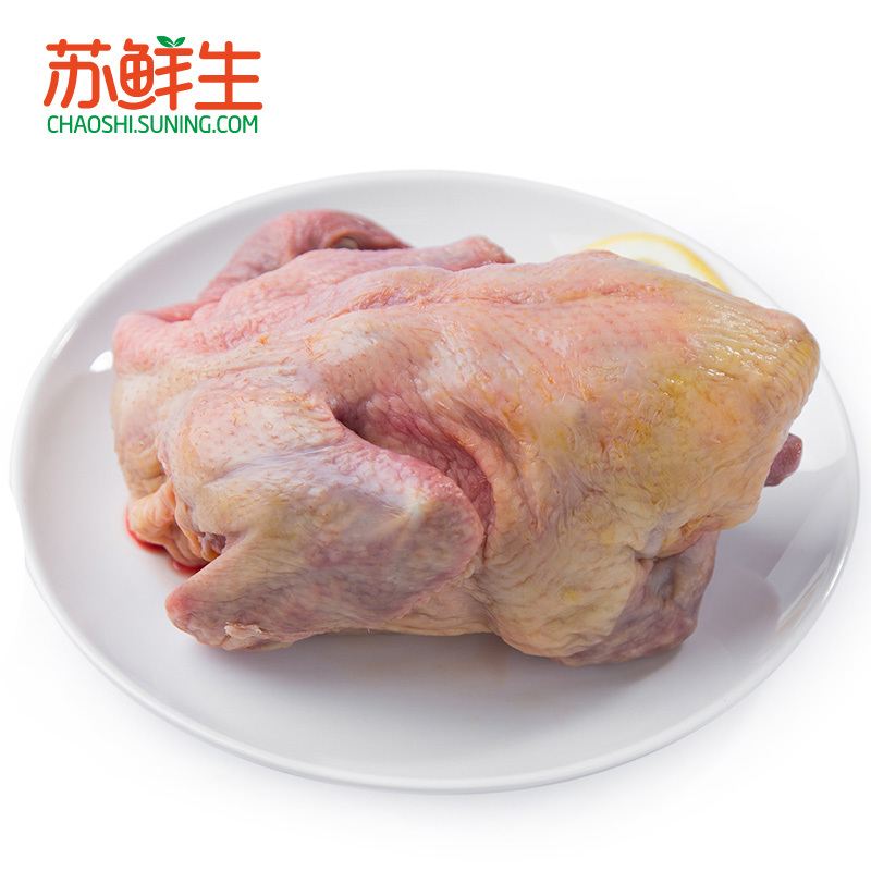 [苏鲜生]原膳生态老鸽350g