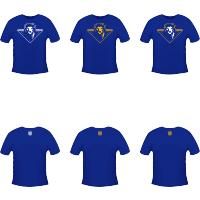 2017俱乐部交换旗