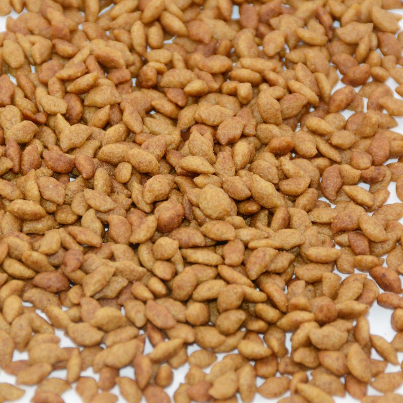 宠物猫粮 宠三鲜鸡肉蔬果蛋成幼猫粮10kg