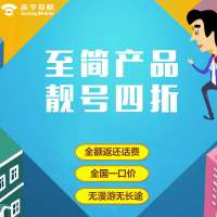 苏宁互联卡电信至简产品 靓号4折版(常州)