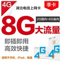 湖北电信荆州上网季卡(2G国内+6G省内流量,有效期3个月)