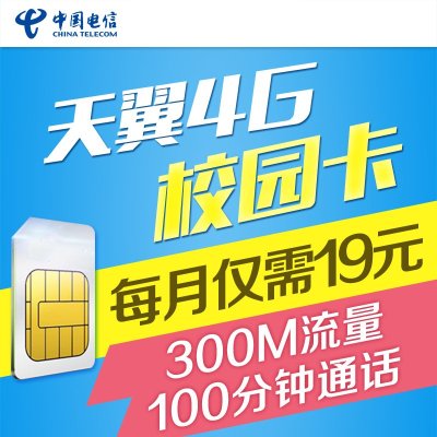 宣城天翼4G校园卡(9元/月=100分钟本地长市话+300M省内流量)