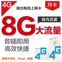 湖北电信襄阳8G流量上网月卡