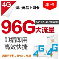 湖北电信随州96G流量上网年卡