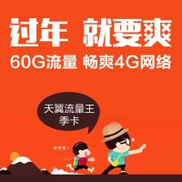 湖北电信孝感天翼流量王季卡