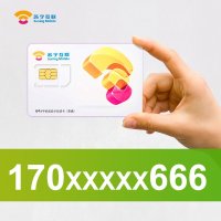 170xxxxx666靓号(联通制式)