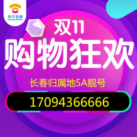 苏宁互联至简手机卡(电信制式)手机卡电话卡4G流量卡0月租