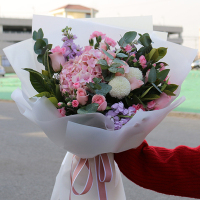 [蒲公英的约定]粉色绣球精美花束 鲜花配送 帮客服务