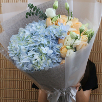 [小公主]蓝色绣球精美花束 鲜花配送 帮客服务
