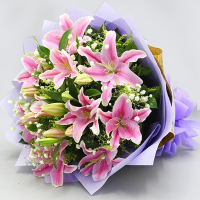 [愿您更健康]6枝多头粉百合 鲜花配送 帮客服务