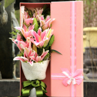 [宠爱一生]5枝多头粉百合礼盒 鲜花配送 帮客服务