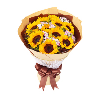 [纯净阳光]10枝向日葵花束A款 鲜花配送 帮客服务
