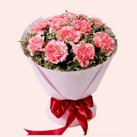 [幸福美满]11枝粉色康乃馨花束 鲜花配送 帮客服务 作废