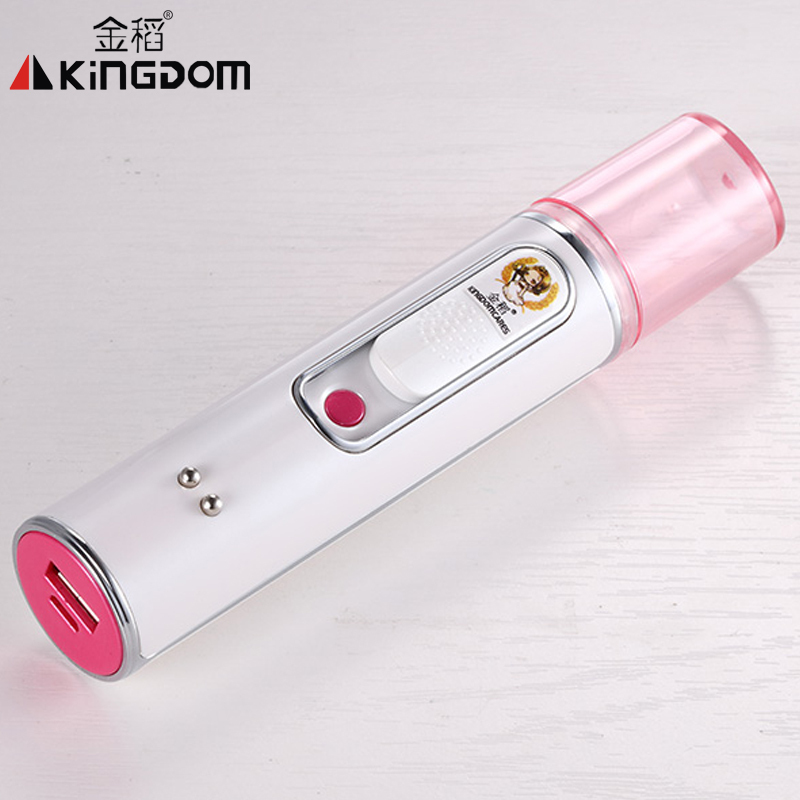 金稻(KINGDOM)美容仪KD-77S