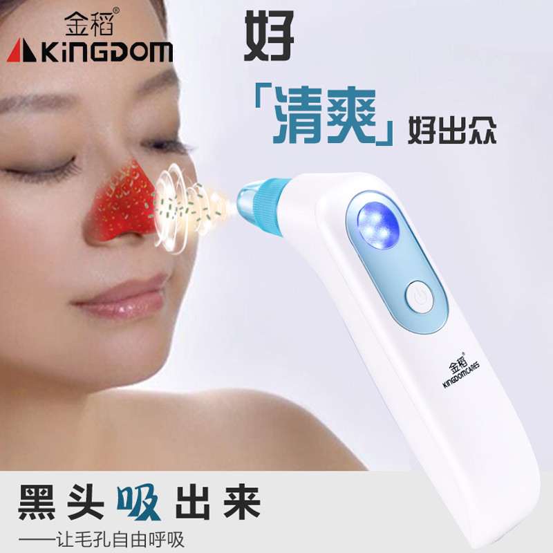 金稻(KINGDOM)美容仪KD-802