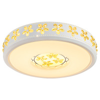 雷士照明小雏菊LED吸顶灯