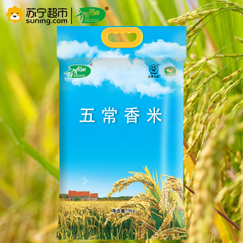 十月稻田 五常香米 东北大米 5kg 五常大米 米饭 煮粥
