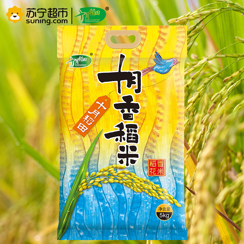 十月稻田 十月香稻大米 5kg 东北大米 香米 米饭 煲粥 煮粥 红豆 八宝粥高清大图
