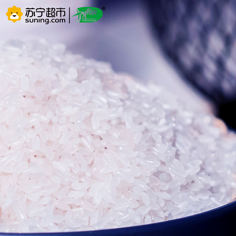 十月稻田 十月香稻大米 5kg 东北大米 香米 米饭 煲粥 煮粥 红豆 八宝粥高清大图