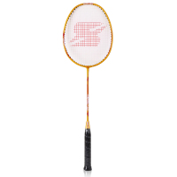 得力（deli）风行F2107羽毛球拍(金色)(个)