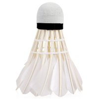 得力(deli)风行F2203羽毛球(白色)(12个/筒)