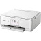 佳能(Canon) TS8080 喷墨多功能高品质照片一体机 精致版