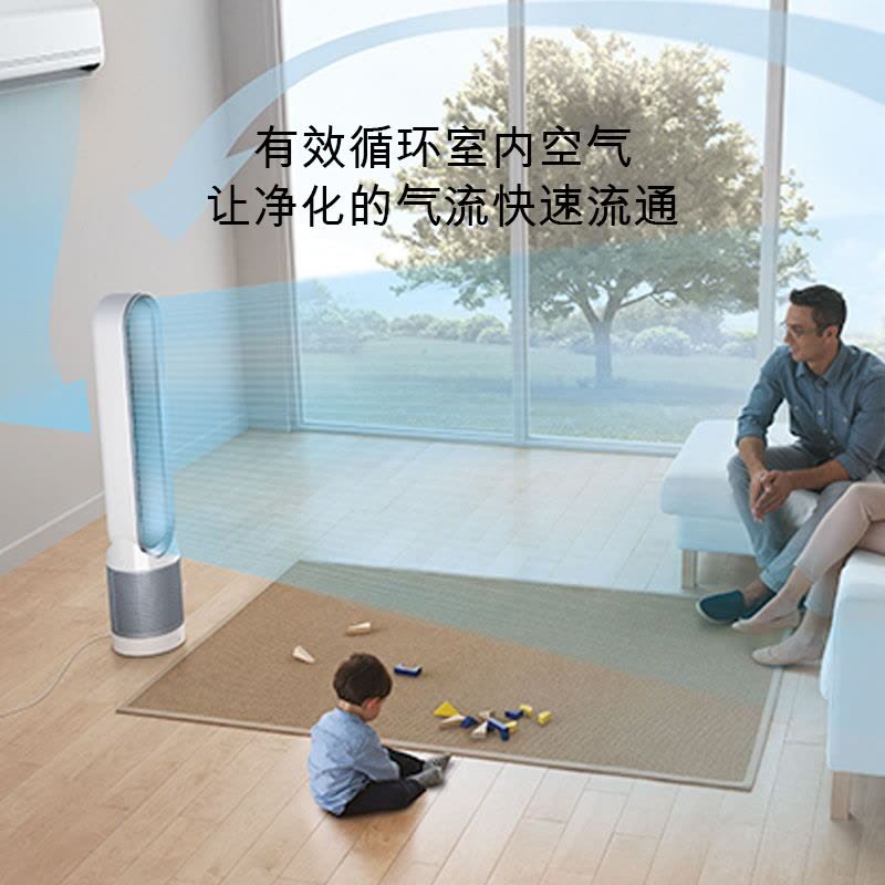 戴森(Dyson)TP03 空气净化 风扇智能版 落地 遥控 APP互联(铁/蓝色)空气循环 输送凉风 除甲醛&苯图片