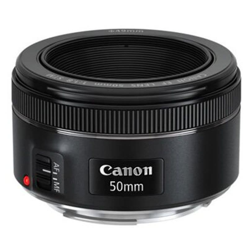 佳能(Canon) EOS 77D(18-135mm+50mm F1.8) 数码单反相机 双镜头套装 约2420万像素图片